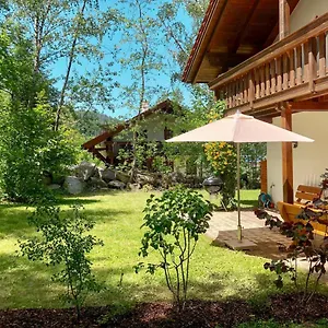 Birke By Interhome Habischried